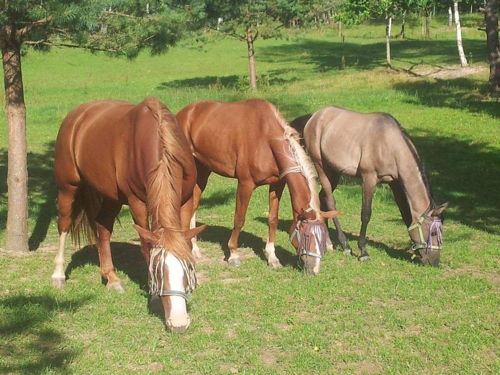 Villa Cheval Aukstadvaris Luaran gambar