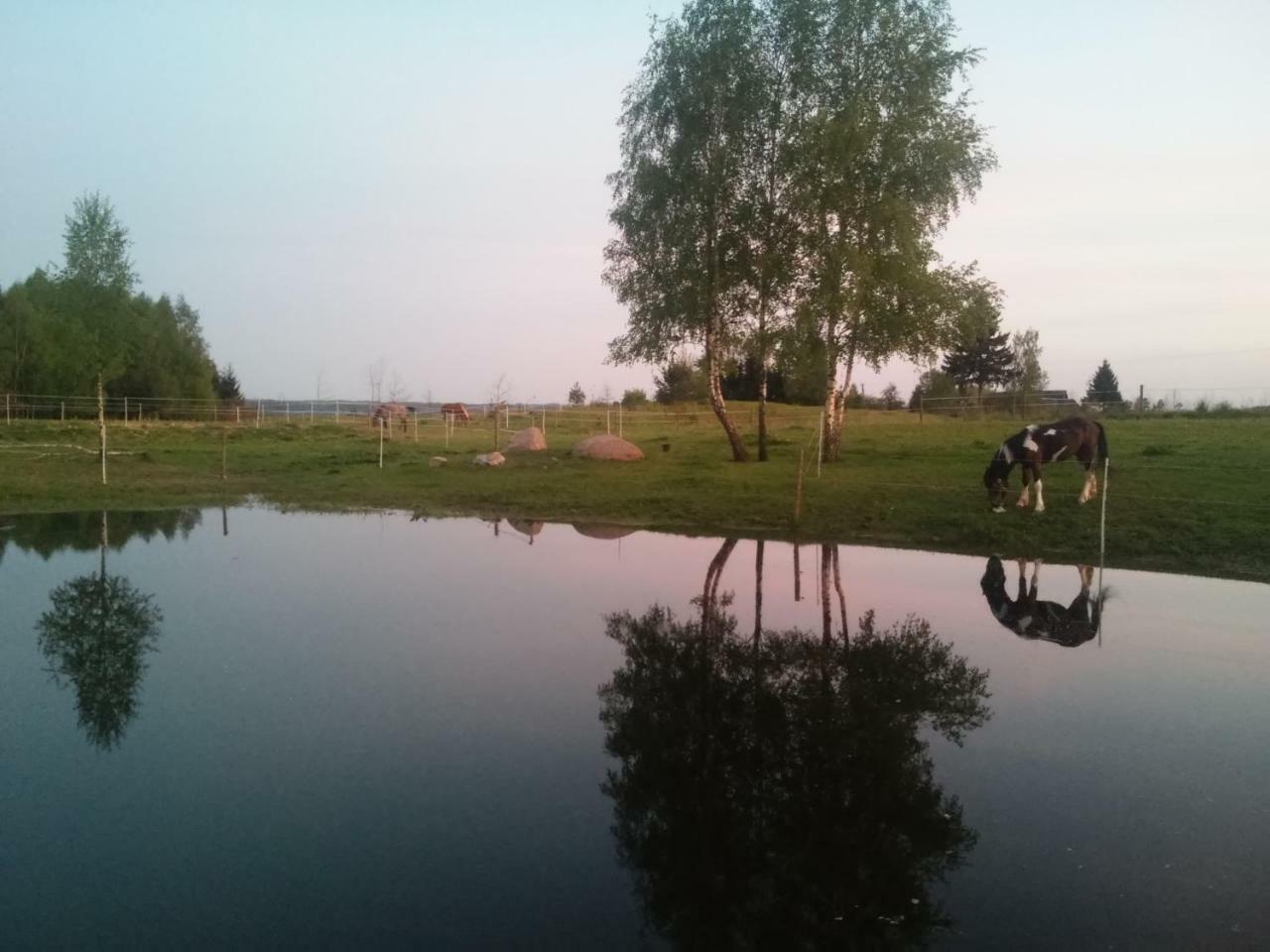 Villa Cheval Aukstadvaris Luaran gambar