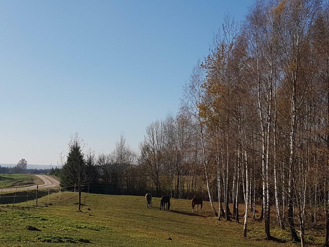 Villa Cheval Aukstadvaris Luaran gambar