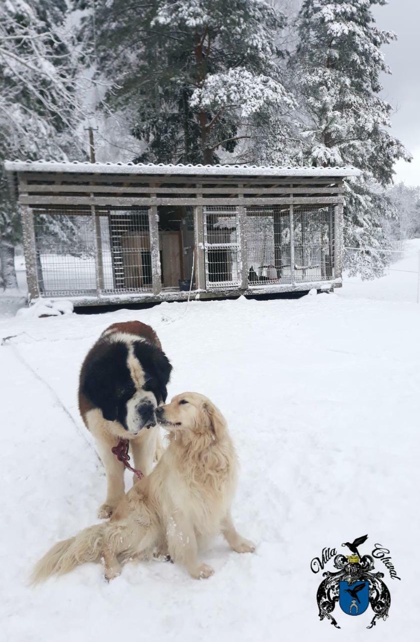 Villa Cheval Aukstadvaris Luaran gambar