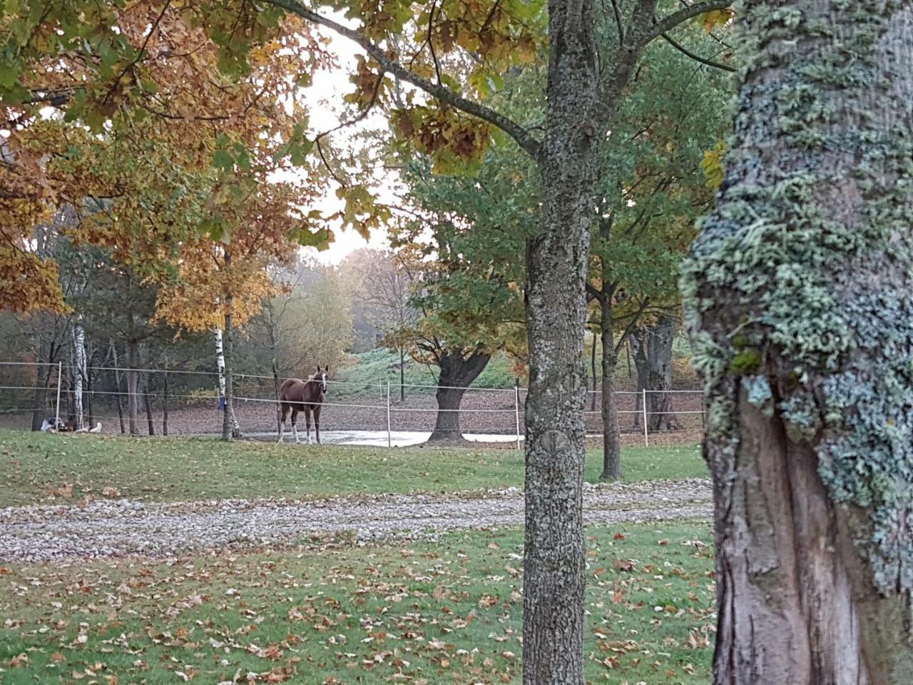 Villa Cheval Aukstadvaris Luaran gambar