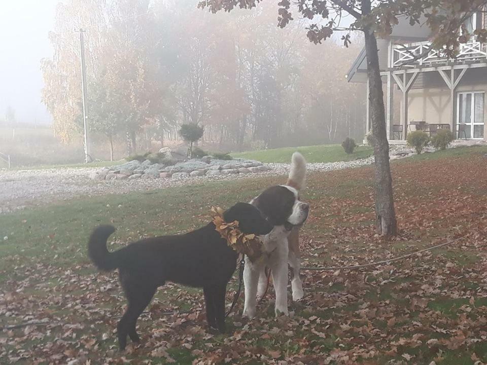 Villa Cheval Aukstadvaris Luaran gambar