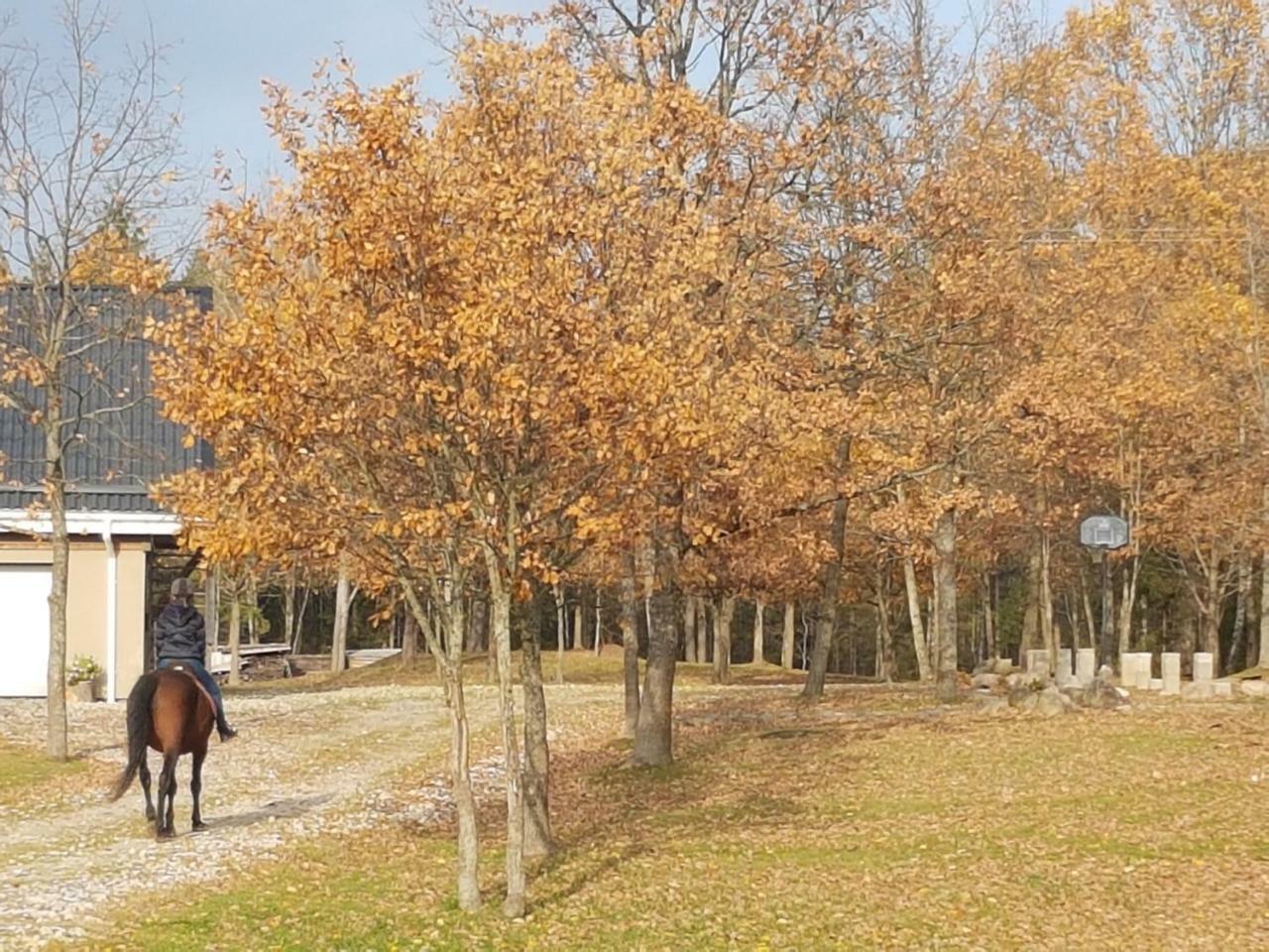 Villa Cheval Aukstadvaris Luaran gambar